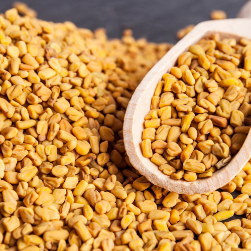 Fenugreek